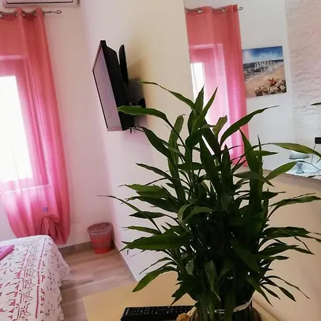 Sunshine House לינה וארוחת בוקר
